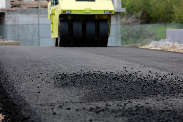 Best Concrete Paver Driveway  in Coalfield, TN