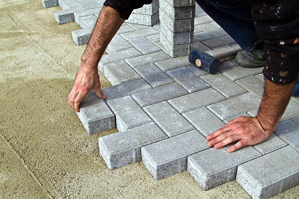 Best Driveway Pavers Near Me  in Coalfield, TN