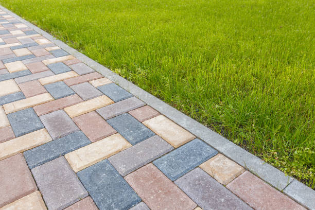 Best Driveway Pavers Cost  in Coalfield, TN